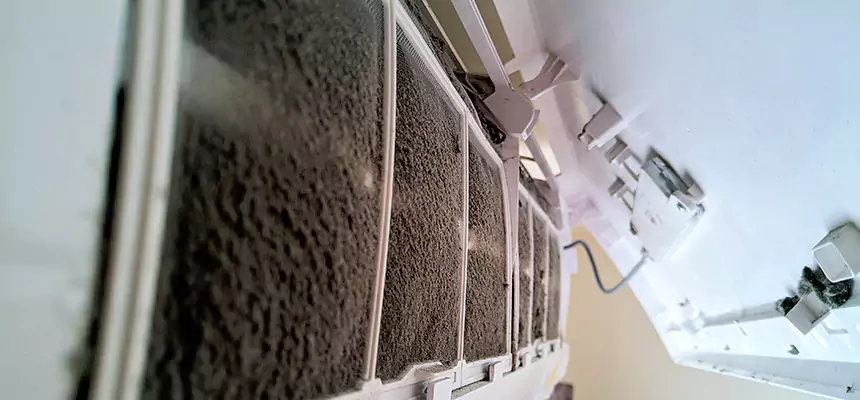 Preventive Air Duct Bacteria Removal in McAllen