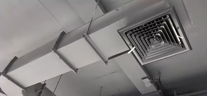 Restorative Allergy Relief Vent Cleaning – Coil, Blower & Housing Detail in McAllen