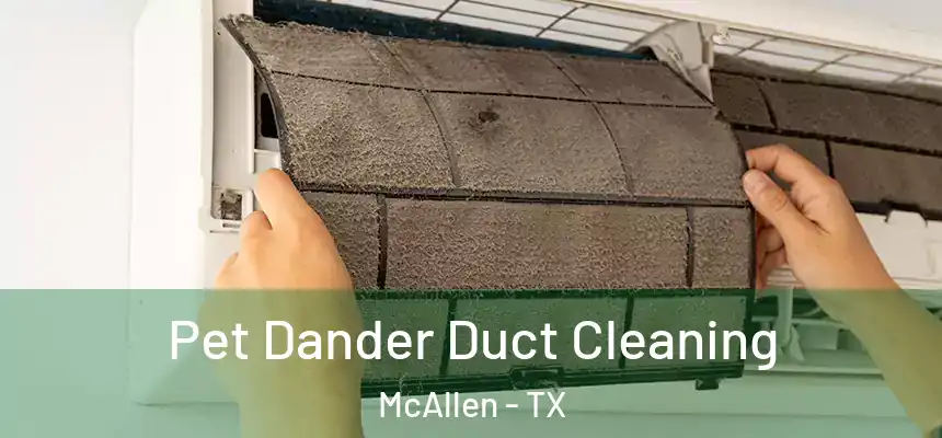 Pet Dander Duct Cleaning McAllen - TX