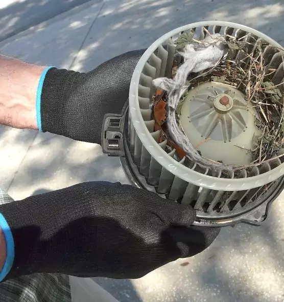 About Air Duct Rat Removal in McAllen, TX