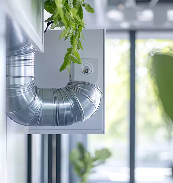 Professional Eco-Friendly Duct Cleaning Services in McAllen, TX