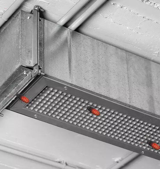 Affordable Insect Removal from Air Ducts in McAllen, TX
