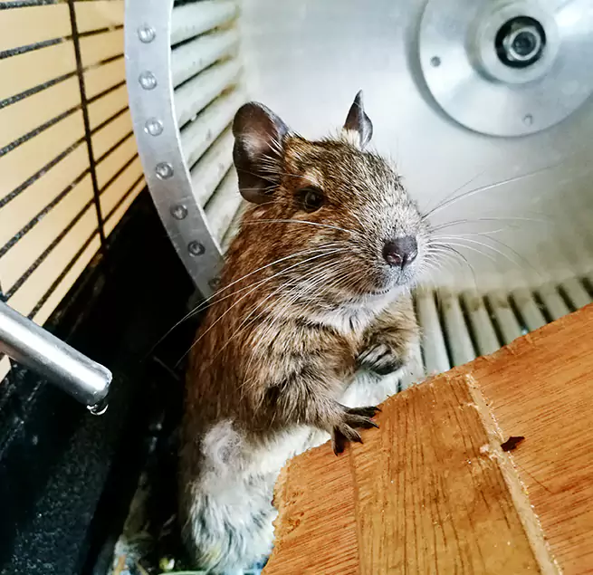 Why Homeowners & Businesses Trust Us McAllen, TX?