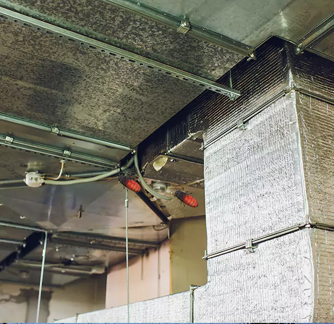 Why Homeowners & Businesses Trust Us McAllen, TX?