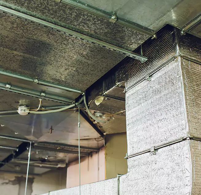 Why Homeowners & Businesses Trust Us in McAllen, TX?